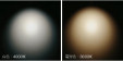 ���ݥåȥ饤�� ��ޥ��� YAMAGIWA Xicato X-series LED SPOT LIGHT T1019W