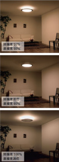 ODELIC �����ǥ�å� ������󥰥饤�� OL211875N odelic ol211875n