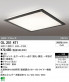 ODELIC �����ǥ�å� LED ����������󥰥饤�� OL251081