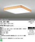 ODELIC ǥå LED 󥰥饤 OL251465