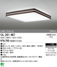 ODELIC ǥå LED 󥰥饤 OL251467