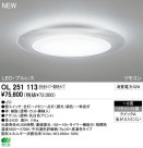 ODELIC ǥå LED 󥰥饤 OL251113