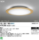 ODELIC ǥå LED 󥰥饤 OL251163