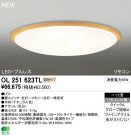 ODELIC ǥå LED 󥰥饤 OL251623TL