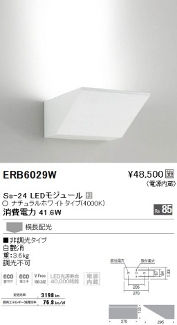 ƣ ENDO LED ֥饱å ERB6029W ᥤ̿