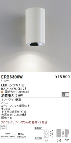 ƣ ENDO LED ֥饱å ERB6300W ᥤ̿
