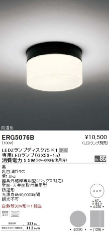 ƣ ENDO LED Х饤 ERG5076B ᥤ̿