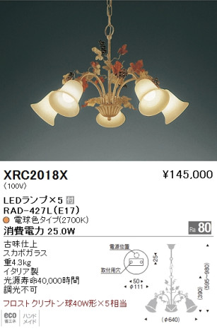 ƣ ENDO LED ǥꥢ XRC2018X ᥤ̿