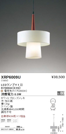 ƣ ENDO LED ڥ XRP6009U ᥤ̿