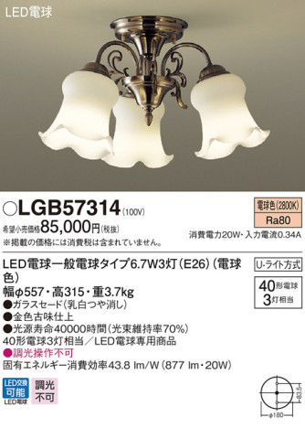 Panasonic LED ǥꥢ LGB57314 ᥤ̿