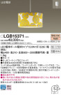 Panasonic LED ڥȥ饤 LGB15371