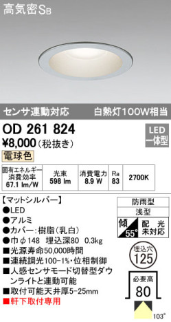 ODELIC ǥå LED ƥꥢ饤 OD261824 ᥤ̿