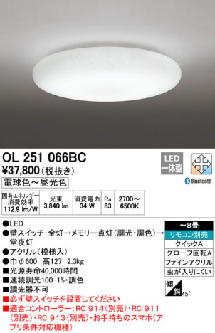 ODELIC ǥå LED 󥰥饤 OL251066BC ᥤ̿