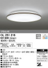 ODELIC ǥå LED 󥰥饤 OL251216