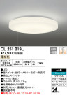 ODELIC ǥå LED 󥰥饤 OL251219L