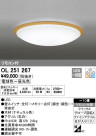 ODELIC ǥå LED 󥰥饤 OL251267