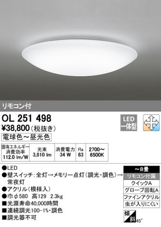 ODELIC ǥå LED 󥰥饤 OL251498 ᥤ̿