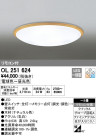 ODELIC ǥå LED 󥰥饤 OL251624
