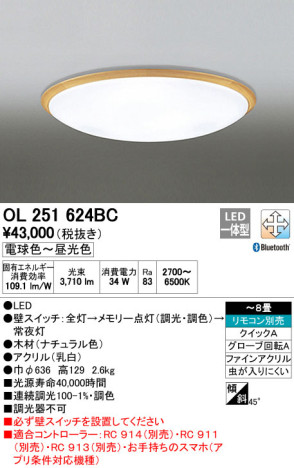 ODELIC ǥå LED 󥰥饤 OL251624BC ᥤ̿