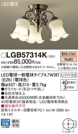 Panasonic ǥꥢ LGB57314K ᥤ̿