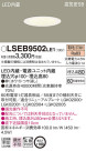Panasonic 饤 LSEB9502LE1