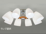 ODELICǥꥢOC006705L