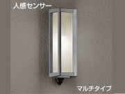 DAIKO�������ȥɥ��饤�ȡ��ʹ����󥵡��ե����ȥɥ��饤�ȡ�DWP-35673