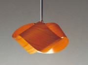 ��ƣ���� ENDO ABiTA �ڥ����� XLP-8295N fu-ka