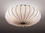 ƣ ENDO ABiTA  XLG-5256M