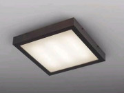 ޥå쥤 Maxray  MX80013-21-91