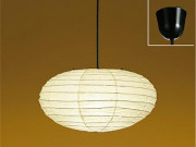 DAIKOΥAKARI50ENڥȡD47-9291