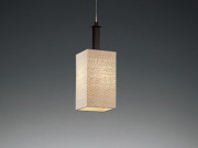 ƣ ENDO ABiTA ڥ XLP-8255U