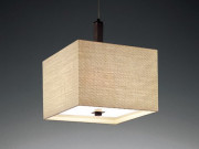 ƣ ENDO ABiTA ڥ XLP-8257U