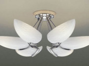 ߾KOIZUMIilum ǥꥢŵ巿ָAAN585126