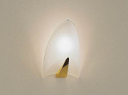 ƣ ENDO ֥饱å EB-2155K