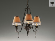 ƣ ENDO ǥꥢ EC-2092U