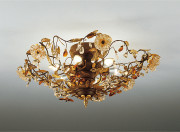 ƣ ENDO LED  ERG5273X