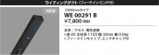 Koizumi ߾ 饤ƥ󥰥(եɥ󡦥ա WE00291B