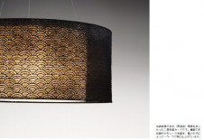 ��ƣ������ENDO��ABiTA�������ڥ����ȡ�XLP-8300B