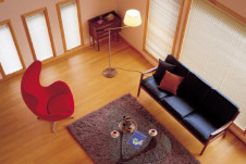 ��ƣ������ENDO��ABiTA���ե���������ɡ�XLF-4365X