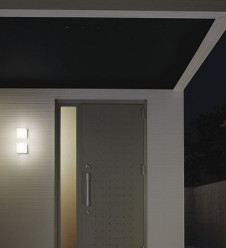 DAIKOȥɥ饤ȡDWP-36159