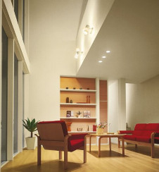 DAIKO����ȴ��������ŷ�桡�ָ������ݥåȡ�DSF-2116LW��DSF-2116NW