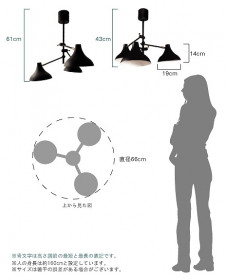 �ǥ�����å���DiClasse �ڥ����ȡ�Finke/ LP2970BK