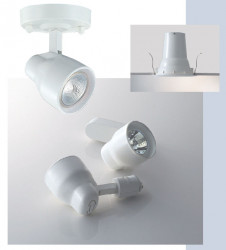 �ޥå����쥤��Maxray�����ݥåȥ饤�ȡ��ץ饰����Jusi��MS10144-81