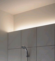 �ޥå����쥤��Maxray�������ȥɥ����������ƥꥢ�����ܾ�����MC65001-01