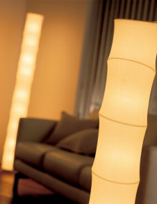 ѥʥ˥åŹPANASONICַǮեɡUgoʥˡSF490