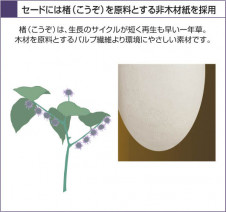 �������߾�����KOIZUMI������������󥰥饤�ȡ�KUMO��AHN500029��