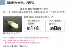 �������߾�����KOIZUMI���ָ���������������󥰡�AHN500023��