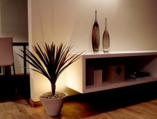 �ѥʥ��˥å��Ź���PANASONIC�����ַ����ѥ�å��ܡ��륹�ѥ����ָ������ۥ꥾�󥿥�饤�ȡ�HomeArchi��SF360��