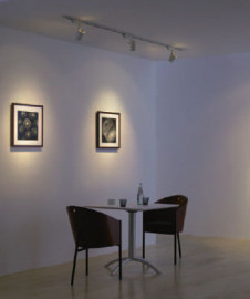 �ޥå����쥤��Maxray�����ݥåȥ饤�ȡ�3ch�ڤ��ؤ������ѥ�⥳���б���OP01120-01�ˡ�MS10169-81